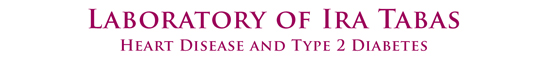 Seidman banner